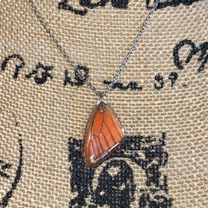 Real Butterfly wing necklace